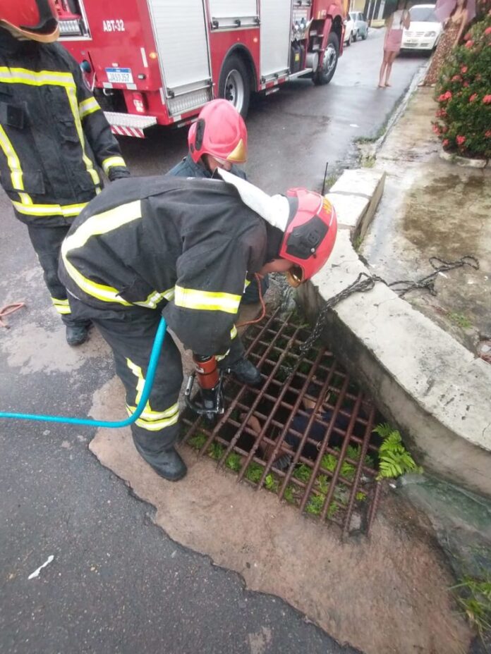 Homem fica preso em bueiro na Cidade Nova