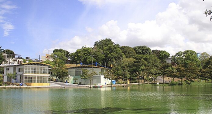 Doação de livros na Lagoa do Japiim