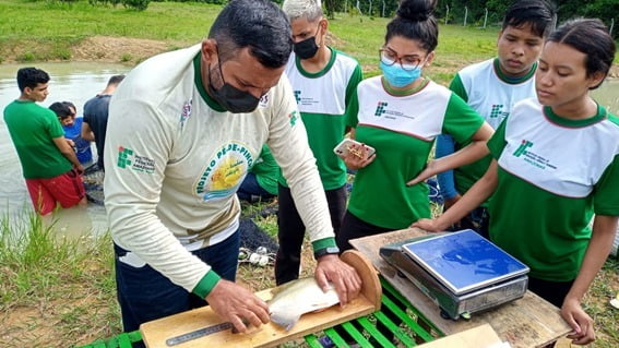 Pesquisadores desenvolvem ração para peixe a partir de resíduos descartáveis