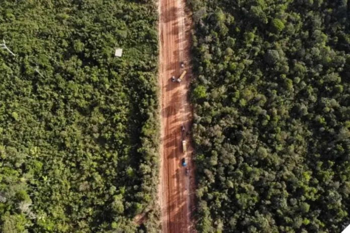 O Instituto de Proteção Ambiental do Amazonas (IPAAM) autorizou, na quinta-feira (1), o início das obras de reconstrução do 