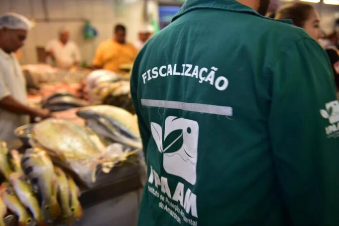 Defeso começa hoje: 8 espécies têm pesca proibida no AM