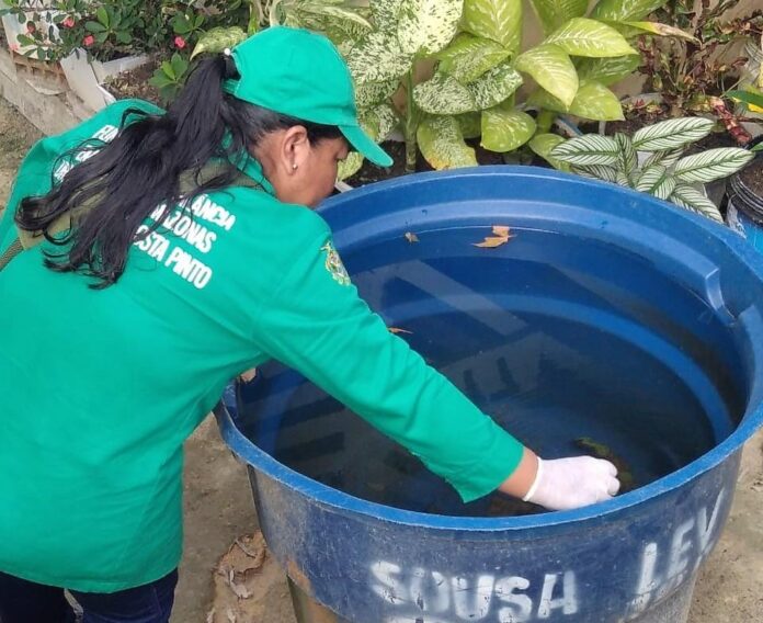 AM tem risco nível médio de infestação por Aedes aegypti, alerta FVS