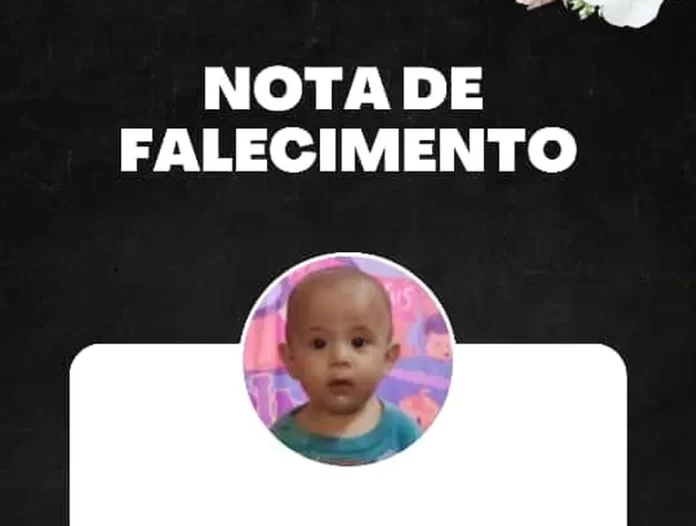 Bebê de 10 meses cai de caminhão e movimento e morre atropelado