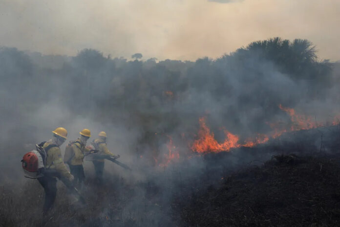 Ministro da Justiça autoriza uso da Força Nacional para combater incêndios no AM