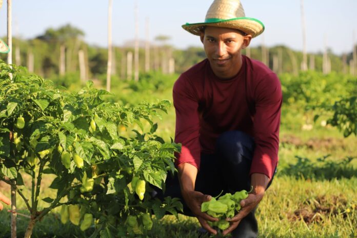 Wilson Lima anuncia edital de R$ 8,5 milhões para agricultura familiar